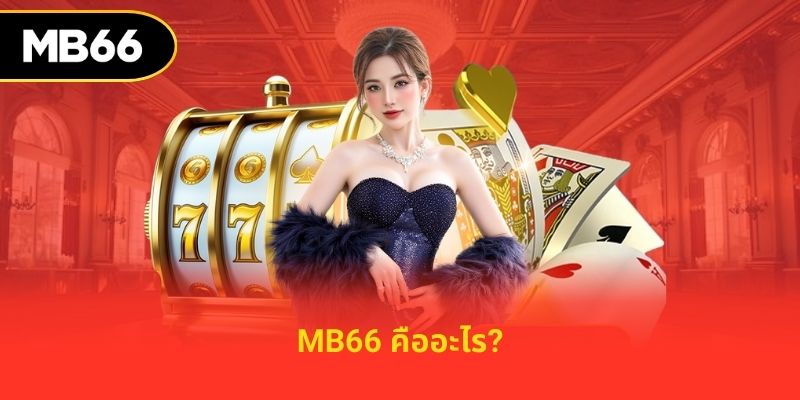 MB66 คืออะไร?